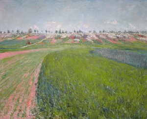 Unieke vormen van continuïteit in de ruimte door Umberto Boccioni